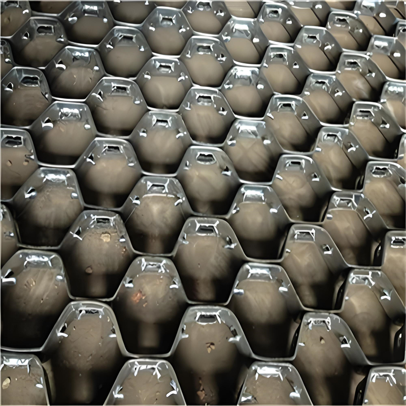 1721202156312528.jpg 龜甲網30.jpg